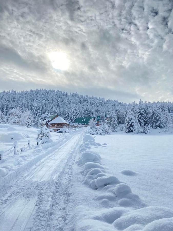 Villa Vikendice Itana Žabljak Exterior foto